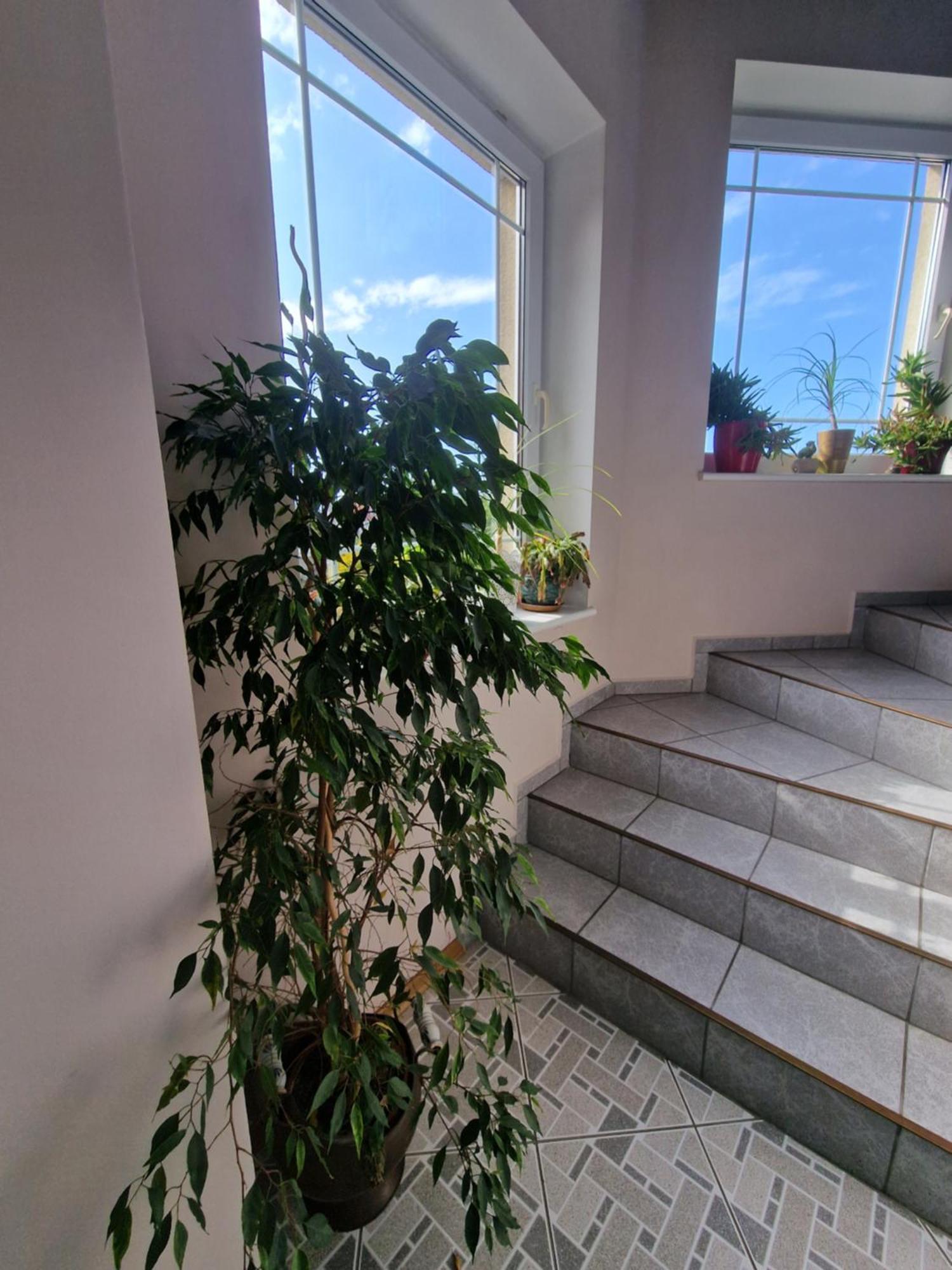 Villa Victoria 웨바 외부 사진